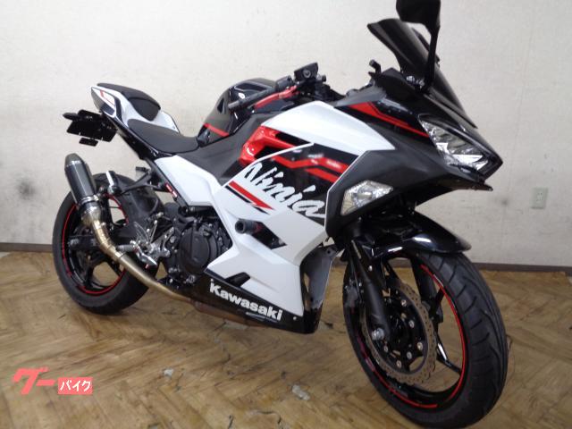 Ｎｉｎｊａ　２５０　アシスト＆スリッパークラッチ　マフラーカスタム　バックステップ　エンジンスライダー　フェンダーレス