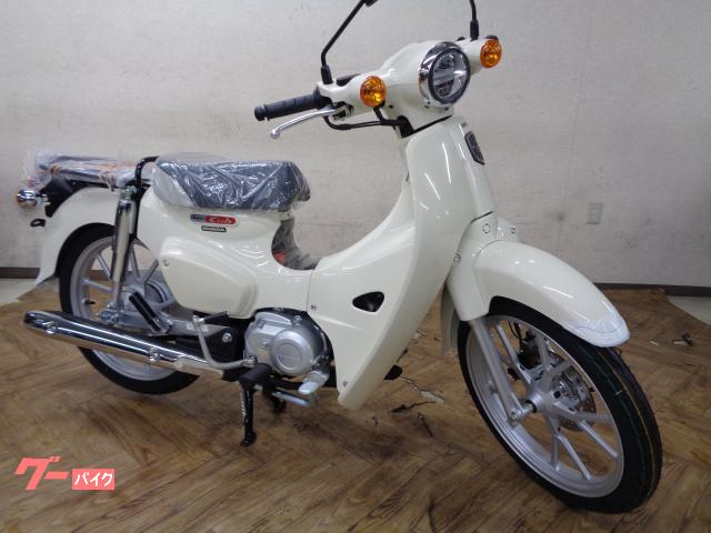スーパーカブ１１０　２０２５年モデル　国内正規モデル新車　ＡＢＳ　ＬＥＤライト　キャストホイール　チューブレスタイヤ