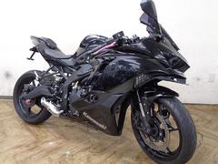 カワサキ　Ｎｉｎｊａ　ＺＸ−２５Ｒ　フェンダーレス　バックステップ　スクリーン・プロジェクターヘッドライト・シングルシート・レバーカスタム