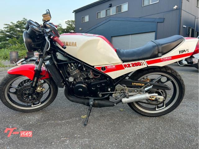 ヤマハ RZ250R イシイチャンバー BEETバックステップ