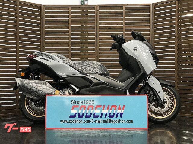 Ｘ−ＭＡＸ２５０　２０２５年モデル　ブルーイッシュグレーカクテル
