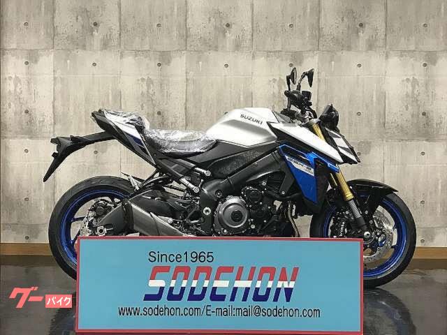 ＧＳＸ−Ｓ１０００　２０２５年モデル　マットソードシルバーメタリック