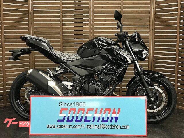 Ｚ２５０　２０２６年モデル　エボニー・メタリックカーボングレー