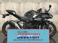 カワサキ　Ｎｉｎｊａ　２５０　２０２２年モデル
