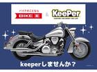 ＨＡＲＬＥＹ－ＤＡＶＩＤＳＯＮ ＸＬ８８３Ｎ　アイアン　バンス＆ハインズ製マフラー　Ｓ＆Ｓ製エアクリーナー　ラペラ製シングルシート装備の画像（神奈川県