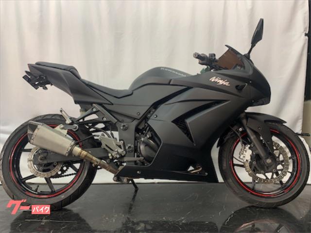 ｎｉｎｊａ ２５０ｒ カワサキ のバイクを探すなら グーバイク