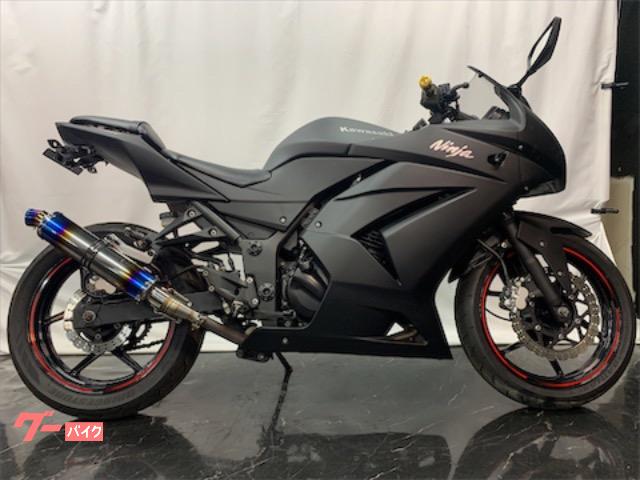 ｎｉｎｊａ ２５０ｒ カワサキ のバイクを探すなら グーバイク