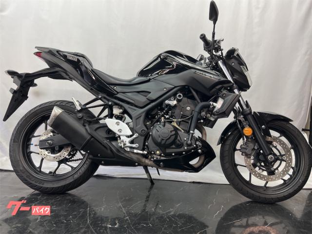 ヤマハ ＭＴ－０３（３２０ｃｃ）２０１８年モデル・エンジン