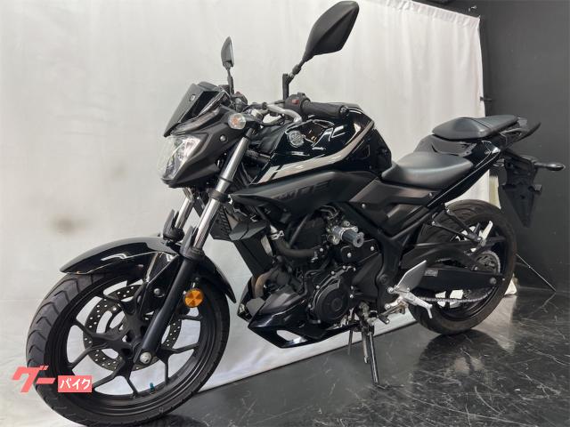 ヤマハ ＭＴ－０３（３２０ｃｃ）２０１８年モデル・エンジン