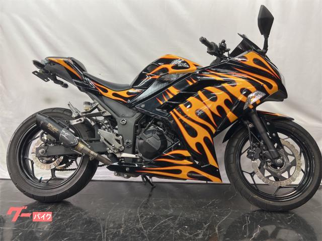 Ｎｉｎｊａ　２５０Ｌ　ＳｐｅｃｉａｌＥｄｉｔｉｏｎ　自社オリジナルファイヤーパターン・カスタムマフラー・ＡＢＳ付き