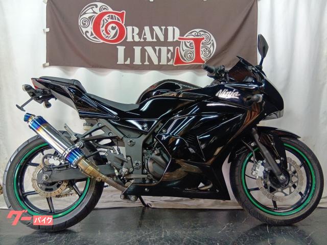 Ｎｉｎｊａ　２５０Ｒ