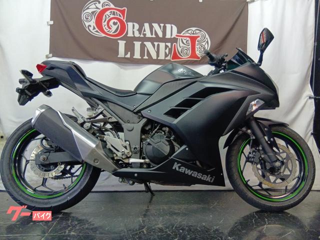 Ninja 250L 2016年式 マットブラック ノーマルマフラー