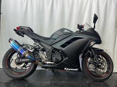 グーバイク】フルカスタム・「ninja 250(カワサキ)」のバイク検索結果一覧(1～17件)