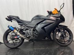 カワサキ　Ｎｉｎｊａ　２５０Ｒ　マットブラック塗装　社外マフラー　社外スクリーン　マルチバー付き　２００９年式