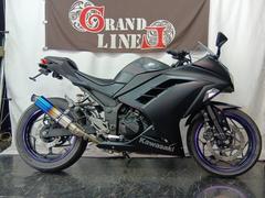 カワサキ　Ｎｉｎｊａ　２５０Ｌ　２０１３年式　マットブラック　ＬＥＤヘッドライト　ステンレスマフラー