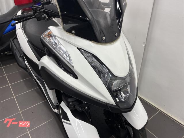 ヤマハ トリシティ155 普通自動車免許仕様 側車付軽二輪登録済 ヤマハ トリシティ155 普通自動車免許仕様 側車付軽二輪登録済