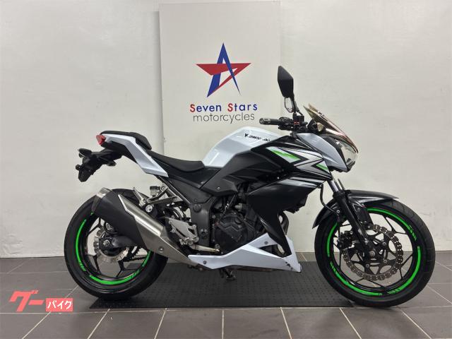 Ｚ２５０　前後ディスクブレーキ　ＬＥＤヘッドライト　ガソリン残量メーター　シフトポジション表示　スクリーンカスタム