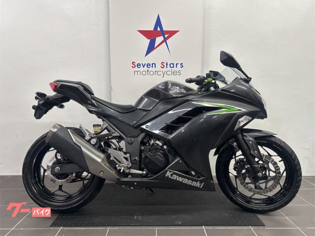 Ｎｉｎｊａ　２５０　人気　２気筒レプリカ　通販ＯＫ　社外レバー左右　ヘルメットロック付き　ビギナーライダー
