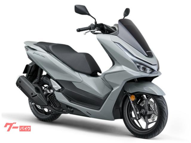 ＰＣＸ１６０　ＡＢＳ　２０２５年モデル　ＵＳＢ　スマートキー　パールジュピターグレー