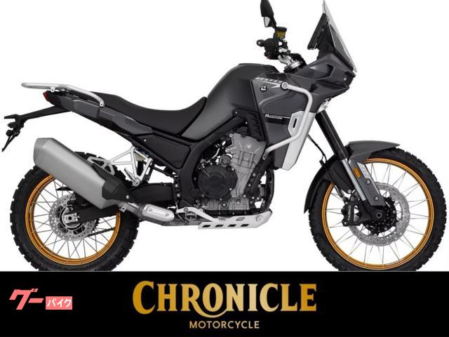 ８００Ｘプロ　グレー　グリーン　正規ディーラー新車　ミドルクラスアドベンチャーバイク
