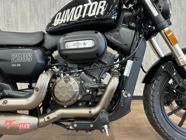 SRV 250 S 自賠責あり　1月まで！　交換歓迎 ヤマハ SRV250 保険1年付き グリーン｜オフコース｜新車・中古
