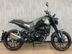 ＢＥＮＥＬＬＩ　レオンチーノ２５０　グレー