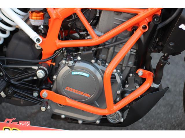 ＫＴＭ ３９０デューク　フェンダーレス　エンジンガードの画像（山梨県