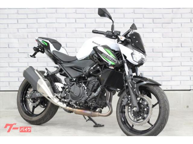 Ｚ２５０　キジマフェンダーレス