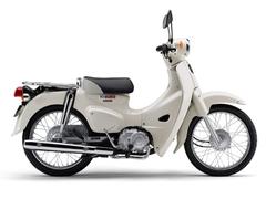 グーバイク 山梨県 スーパーカブ のバイク検索結果一覧 1 14件