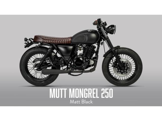 ＭＵＴＴ モングレル２５０ ＭＵＴＴ ＭＯＴＯＣＹＣＬＥ ＭＯＮＧＲＥＬ ２５０｜ＯＺーＧａｒａｇｅ｜新車・中古バイクなら【グーバイク】