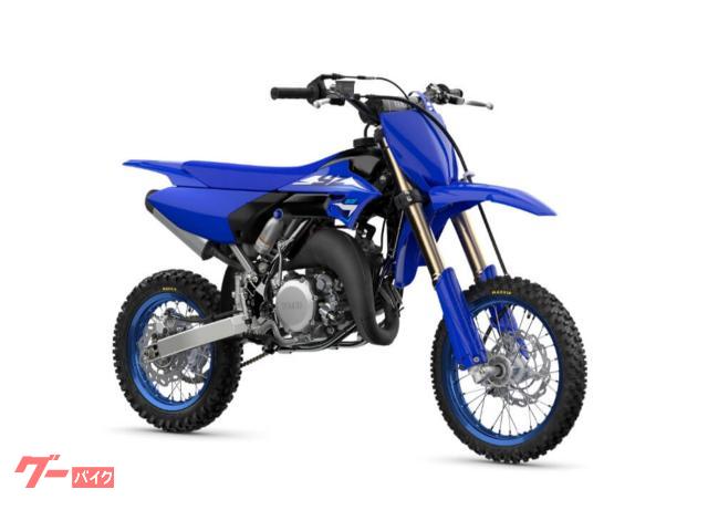 ＹＺ６５