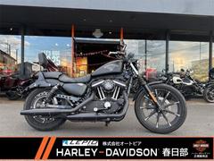 ＨＡＲＬＥＹ−ＤＡＶＩＤＳＯＮ　ＸＬ８８３Ｎ　アイアン　ＥＴＣ　エアクリーナー　前後ケラーマン　シーシーバー　その他カスタム