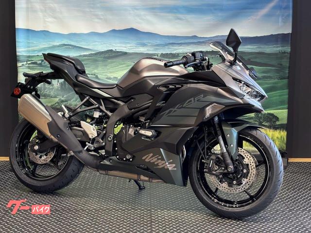 Ｎｉｎｊａ　ＺＸ−４Ｒ　ＳＥ　２０２５年カラー　クイックシフター　フレームスライダー　スモークスクリーン