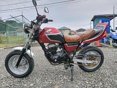 グーバイク】ミニバイク・フルカスタムのバイク検索結果一覧(1～30件)