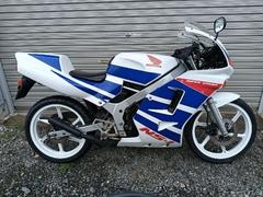 グーバイク】「ns-1」のバイク検索結果一覧(1～30件)