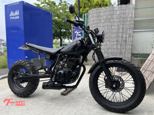 ＴＷ２２５Ｅ　ブラックパールカスタムＬＥＤ仕様ロンスイネオスカチューン　社外メーター　セル始動