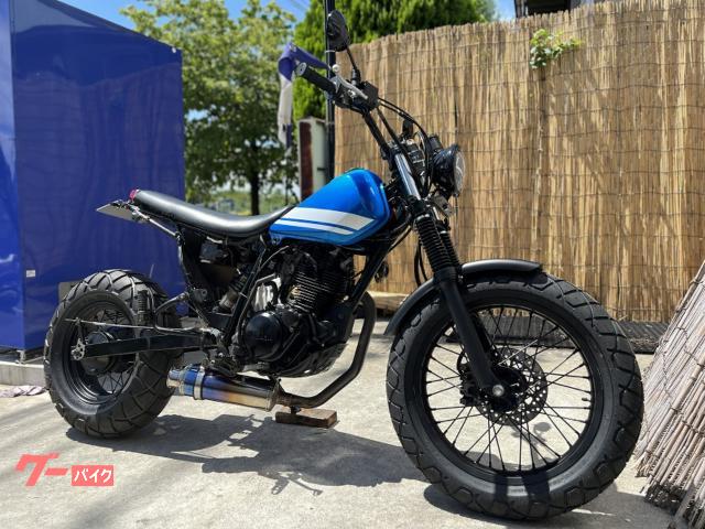 ＴＷ２２５Ｅ　ＬＥＤ仕様ロンスイネオスカチューン　セル始動　純正キャンディーカスタム　社外メーター　タイヤ新品