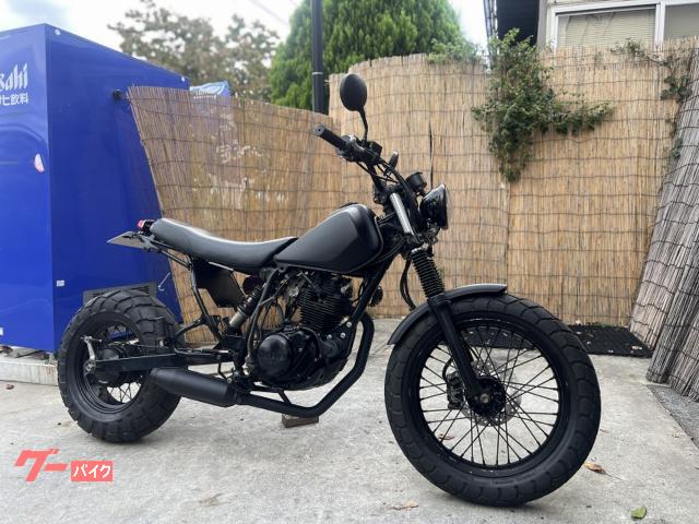 ＴＷ２２５Ｅ　ブラックカスタムＬＥＤ仕様　ロンスイネオスカチューン　社外ＥＬメーター