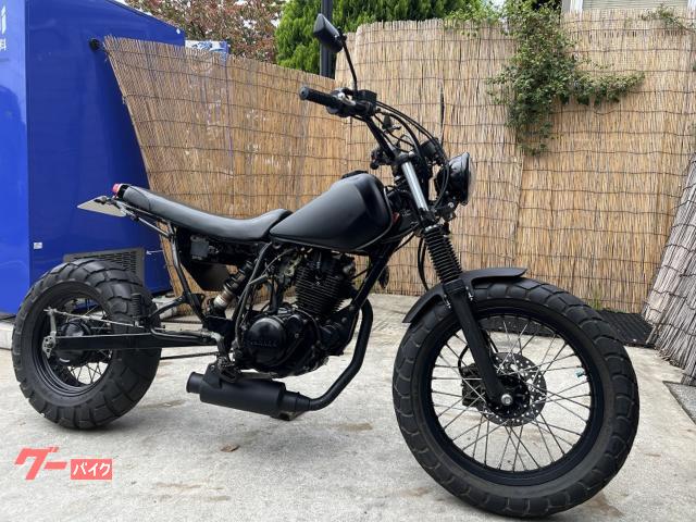 ＴＷ２２５Ｅ　ブラックカスタムＬＥＤ仕様　ロンスイネオスカチューン　セル始動　社外ＥＬメーター　５０７０