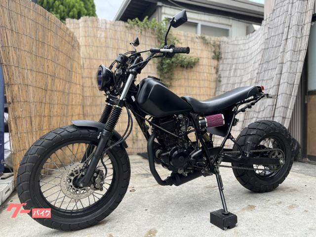 ヤマハ TW225E ブラックカスタムLED仕様 ロンスイネオスカ