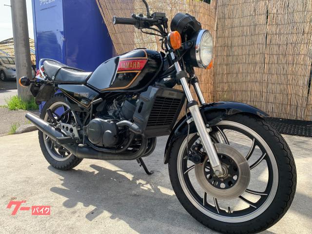 ＲＺ２５０　純正ノーマル　オリジナル　初期ブラックマッチング