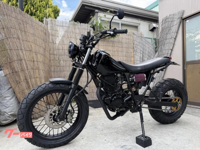 ヤマハ TW225E ブラックカスタムLED仕様 ロンスイネオスカ