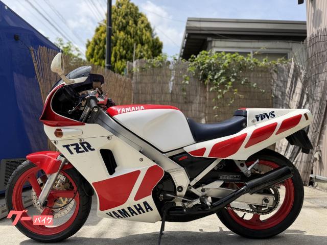 ヤマハ TZR250 1KT ノーマル｜モトショップ輪童｜新車・中古