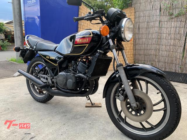 ＲＺ２５０　ノーマルルック　３５０ｃｃカスタム
