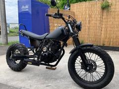 ヤマハ　ＴＷ２２５Ｅ　マットブラック　ＬＥＤ仕様　ロンスイネオスカチューン