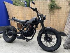 ヤマハ　ＴＷ２２５Ｅ　ブラックカスタム　ＬＥＤ仕様ロンスイネオスカチューン　社外メーター