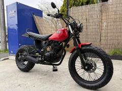 ヤマハ　ＴＷ２２５Ｅ　オリジナルレッドカスタムＬＥＤ仕様　ロンスイネオスカチューン　社外スピードメーター