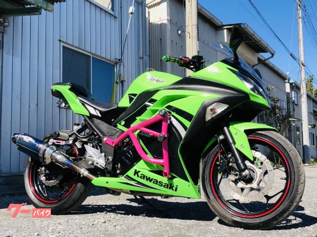 カワサキ ｎｉｎｊａ ２５０ エクストリーム仕様 ｂｅｅｔ製ｎａｓｅｅｒｔサイレンサー ｃｒａｚｙ ｉｒｏｎ製エンジンケージ ｃｒａｚ ｆｉｘｅｒ 新車 中古バイクなら グーバイク