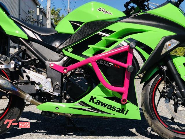 カワサキ Ｎｉｎｊａ ２５０ エクストリーム仕様 ＢＥＥＴ製