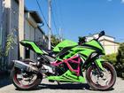 カワサキ Ｎｉｎｊａ　２５０　エクストリーム仕様　ＢＥＥＴ製ＮＡＳＥＥＲＴサイレンサー　ＣＲＡＺＹ　ＩＲＯＮ製エンジンケージ　ＣＲＡＺの画像（埼玉県